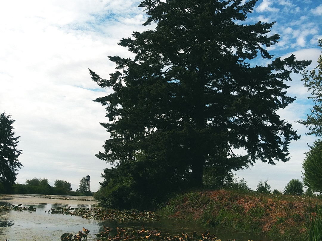 Cheadle Lake - North Shore Trail-Lebanon必去景点