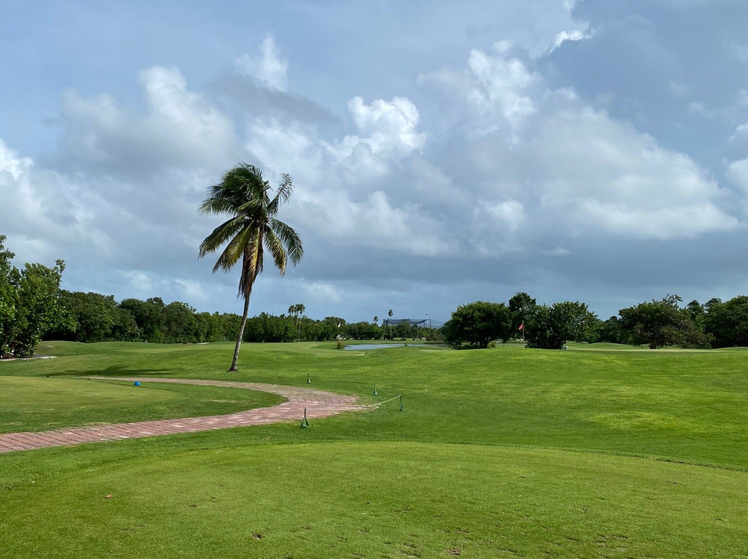 Key West Golf Club景点图片