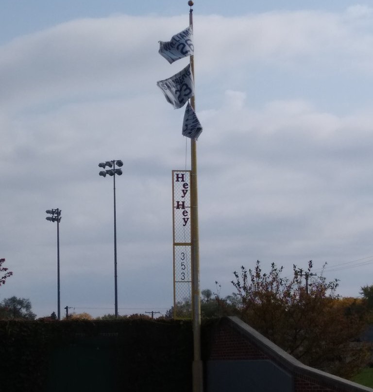 Little Cubs Field-弗里波特必去景点