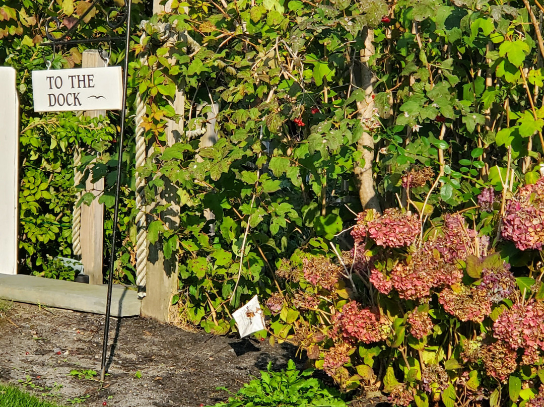 A Little Inn On Pleasant Bay主图