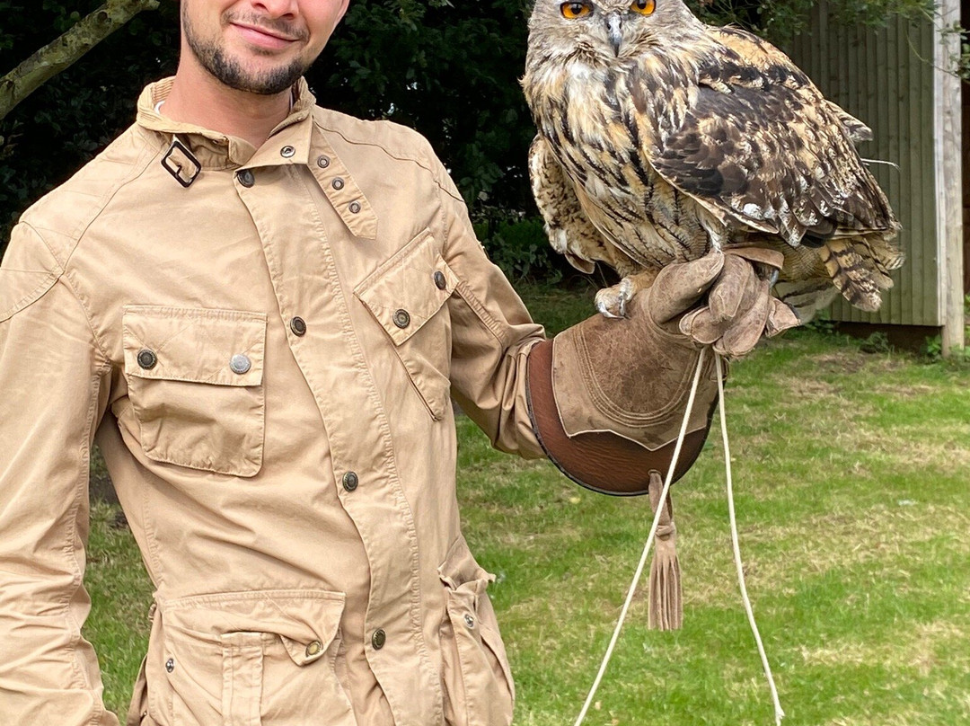 Simon Tebbutt Falconry-奥克姆必去景点