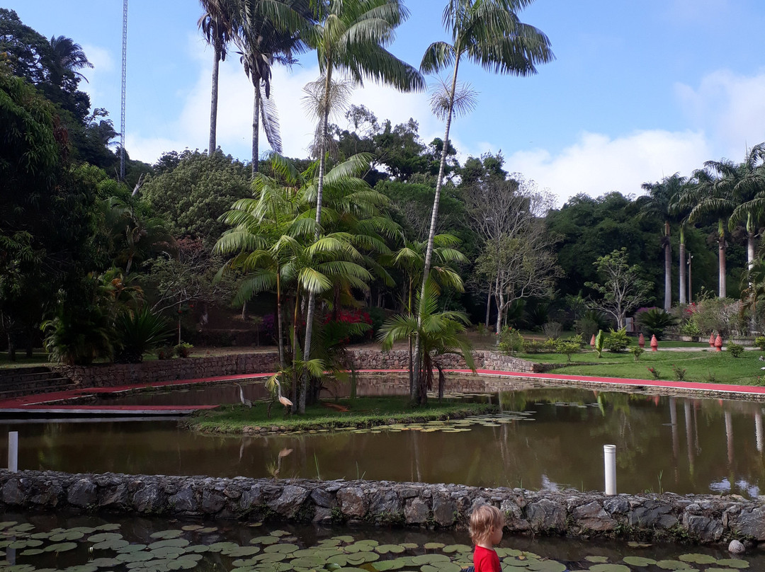 Neblina Park Hotel主图