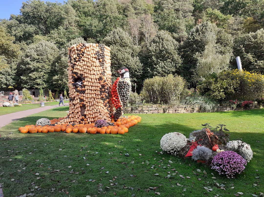 Gartenschau Kaiserslautern景点图片