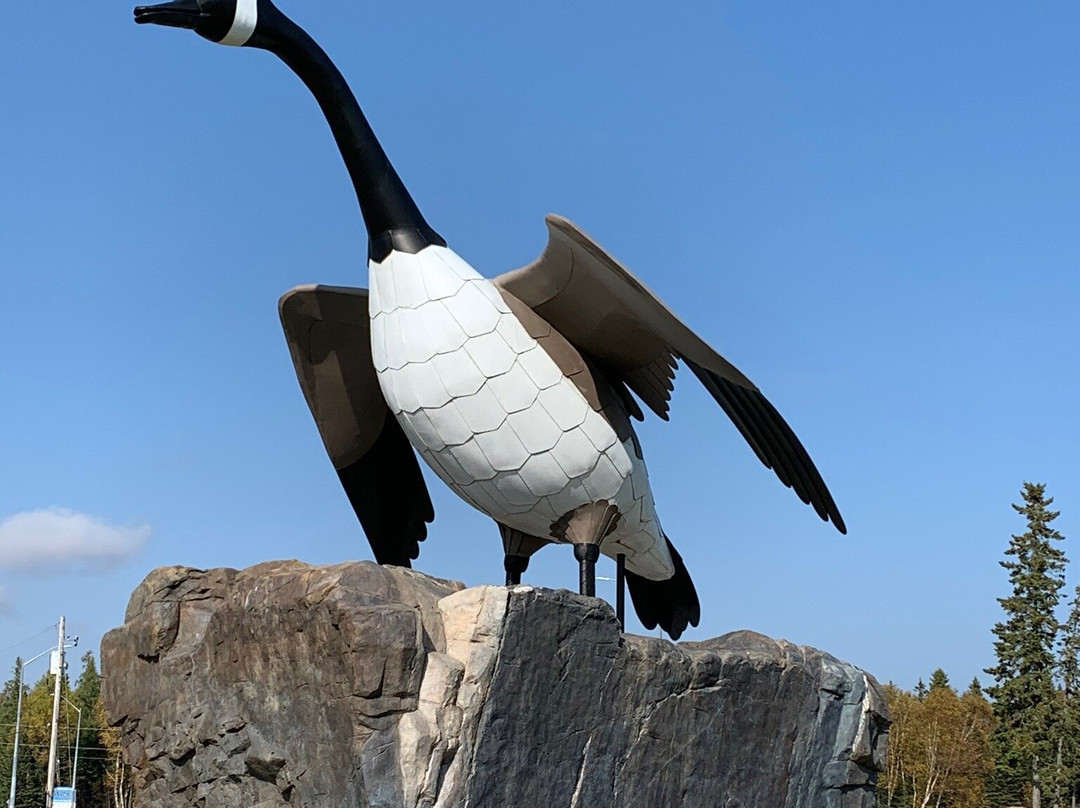 Wawa Goose Statue-Wawa必去景点