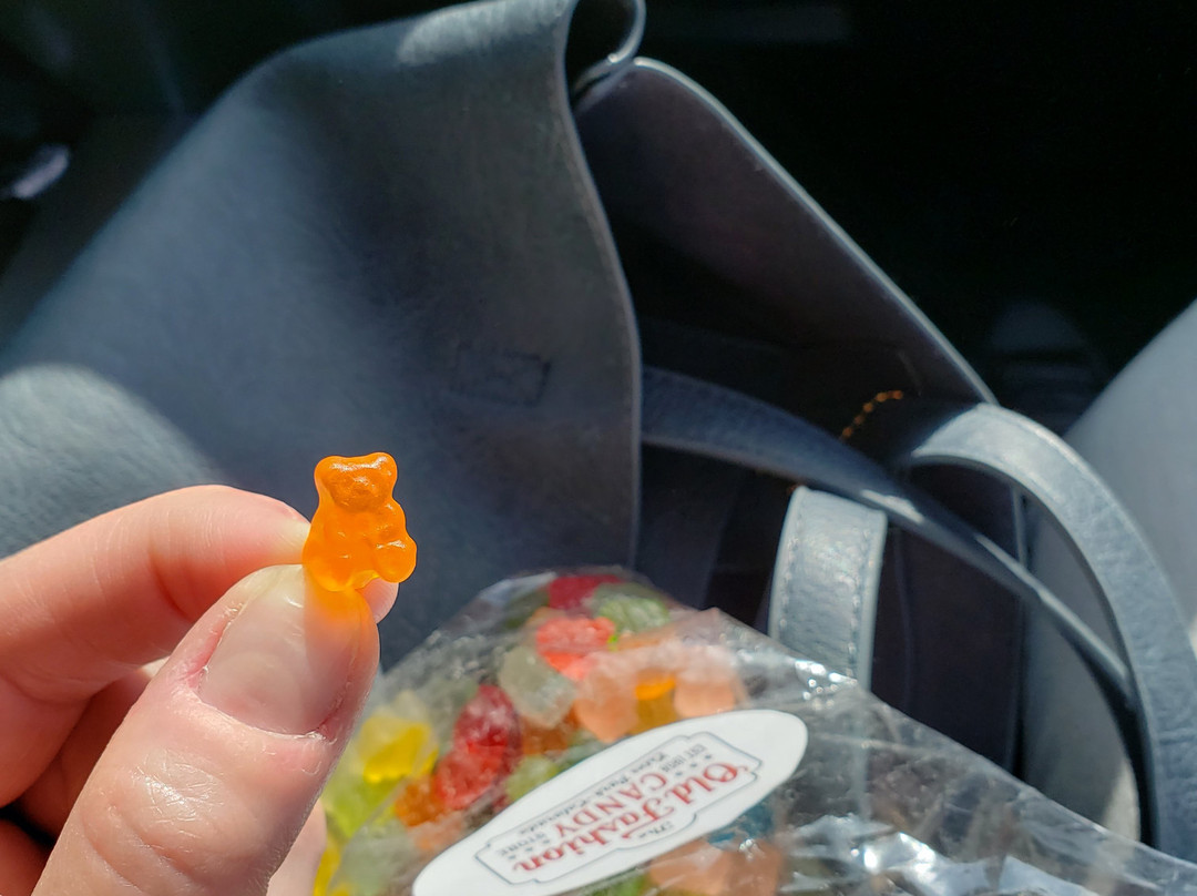 The Old Fashion Candy Store-埃斯蒂斯公园必去景点