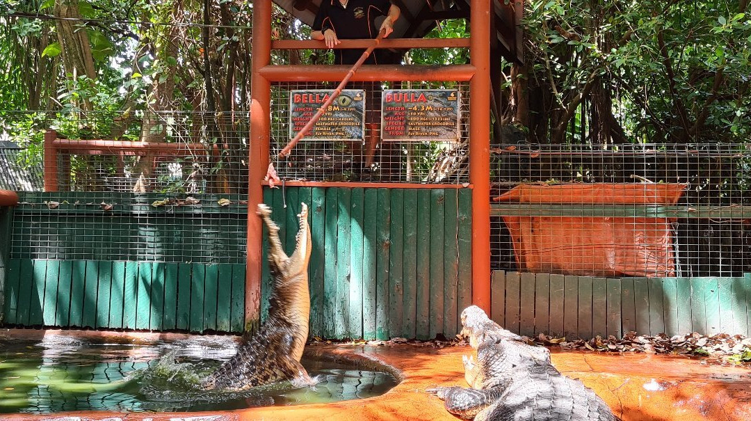 Marineland Melanesia Crocodile Habitat景点图片