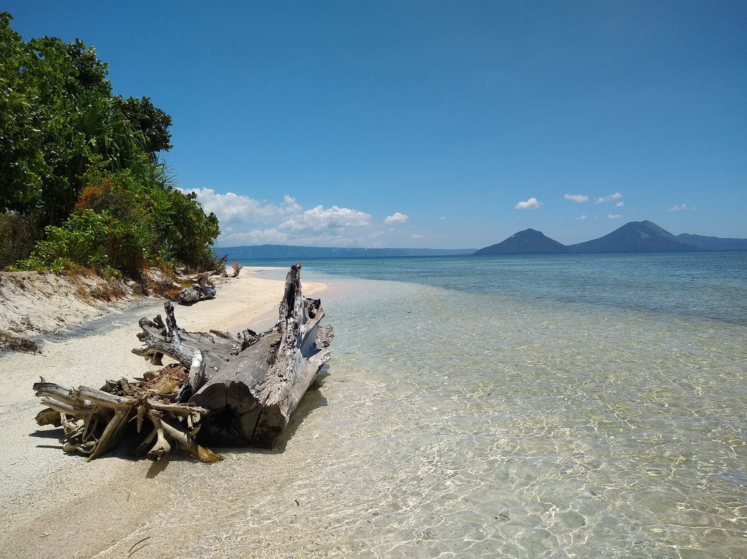 Rabaul Dive Adventures-Kokopo必去景点
