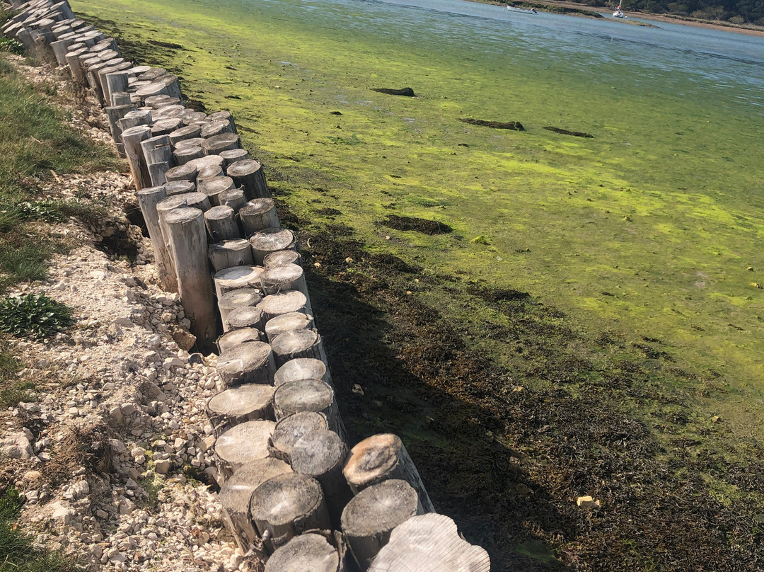 Newtown National Nature Reserve景点图片