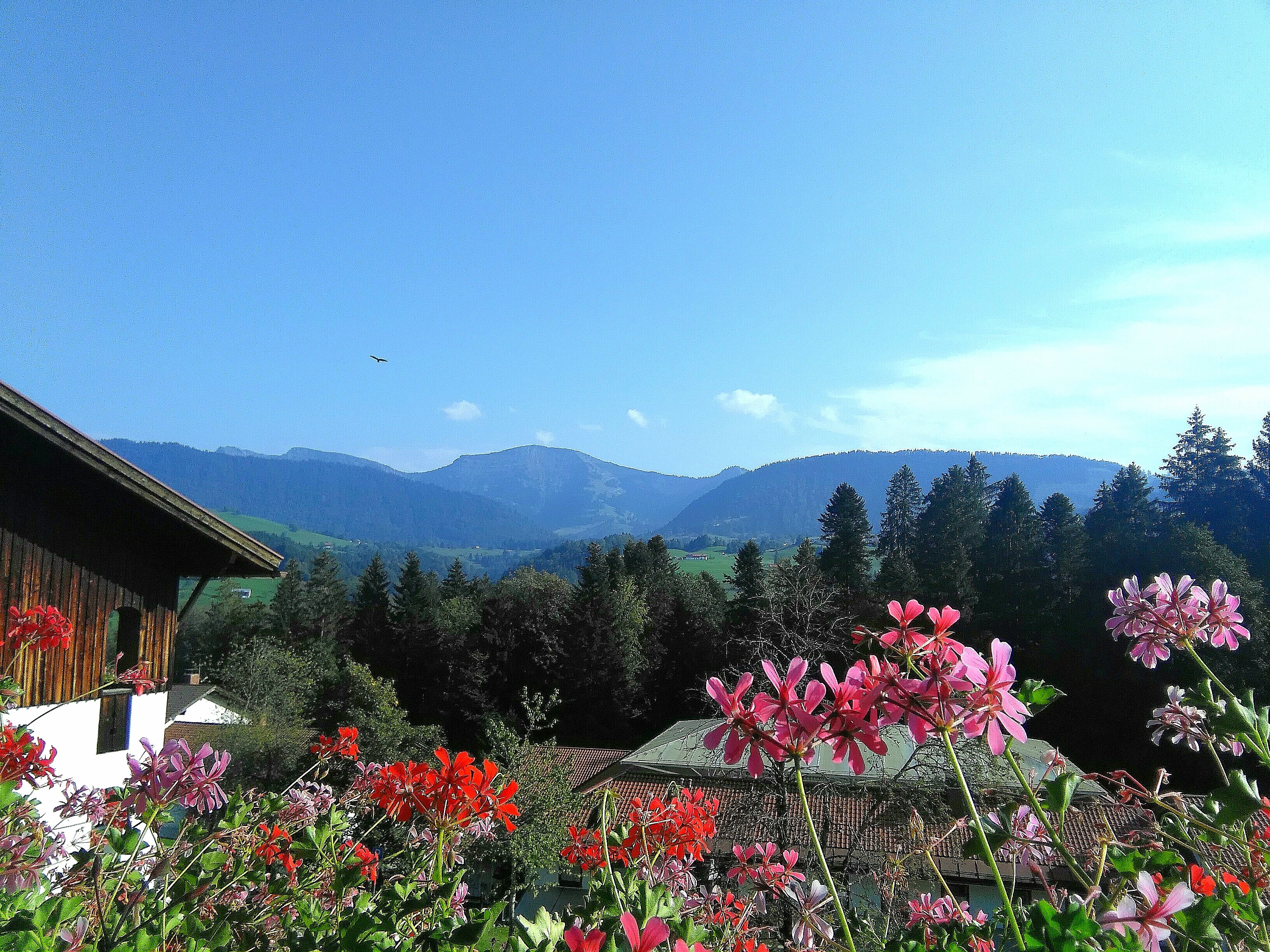 MONDI RESORT OBERSTAUFEN-酒店景观