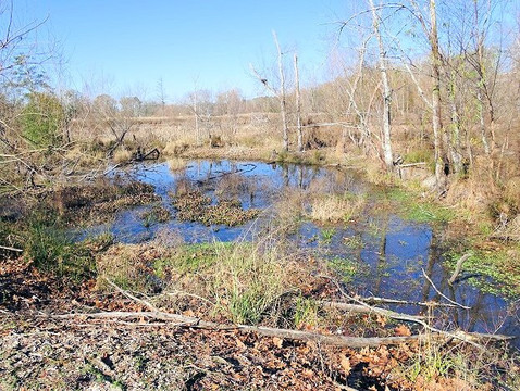 Brick Pond Park-North Augusta必去景点