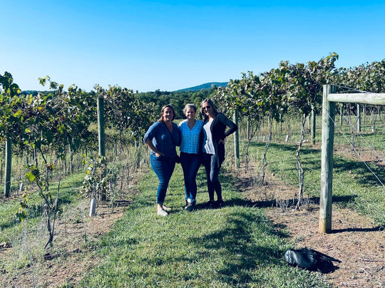 Inn at Springfield Manor主图