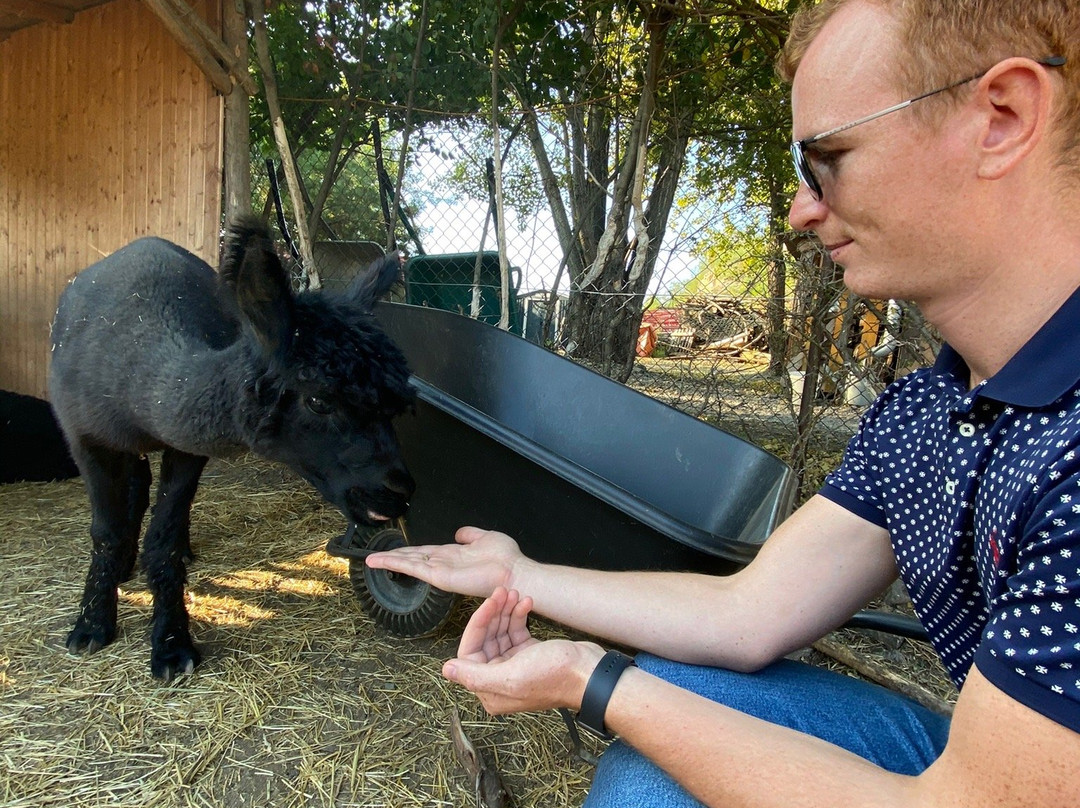 Lamacentrum Hady-布尔诺必去景点