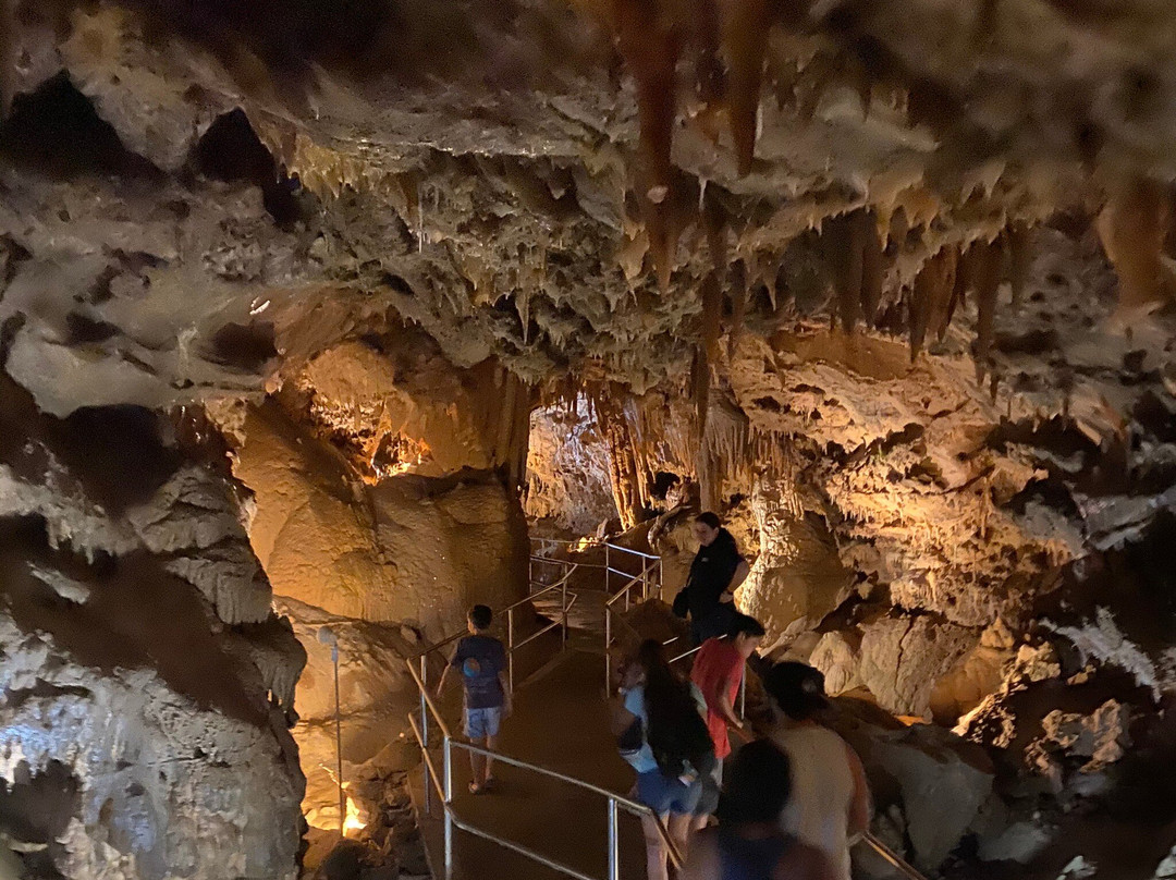 Shasta Lake-沙斯塔湖必去景点