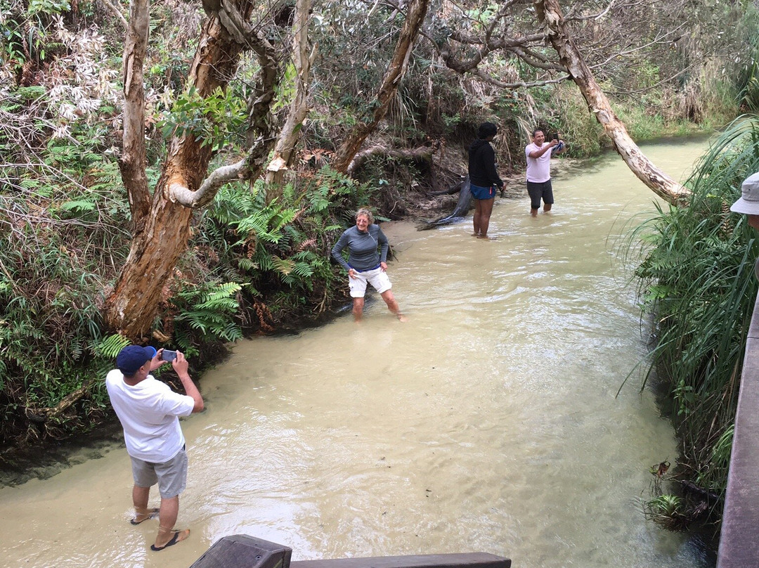 Fraser Discovery Tours-赫维湾必去景点
