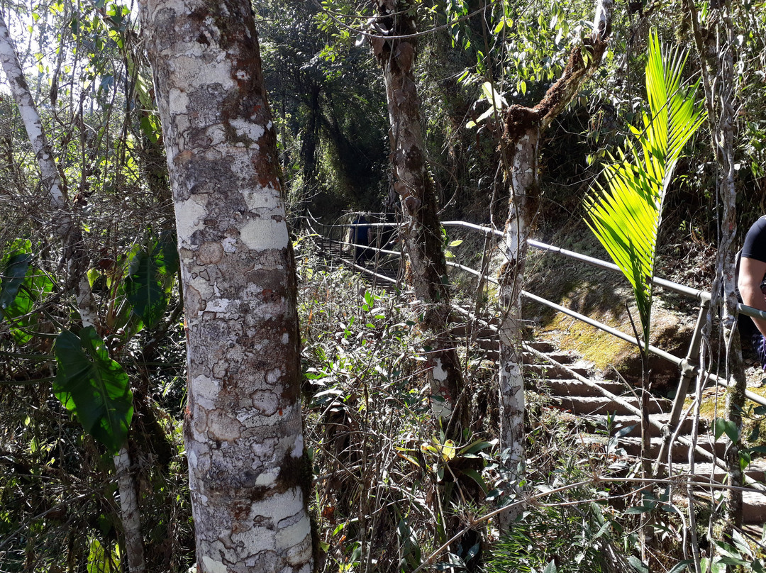 Cachoeira Véu de Noiva-Itatiaia National Park必去景点