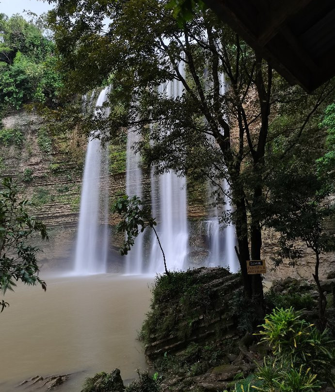 Dumaguete Taxi And Van Transport Services Plus Tours-杜马盖地必去景点