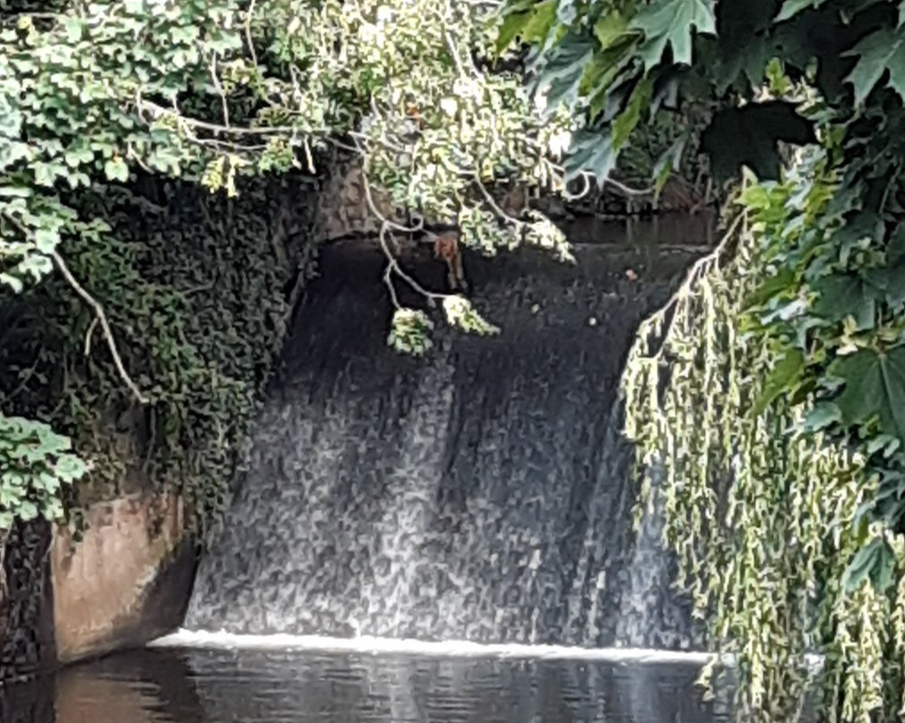 The Byes Riverside Park-西德茅斯必去景点
