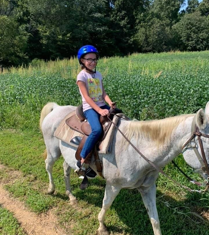 Santa's Stables-圣克劳斯必去景点