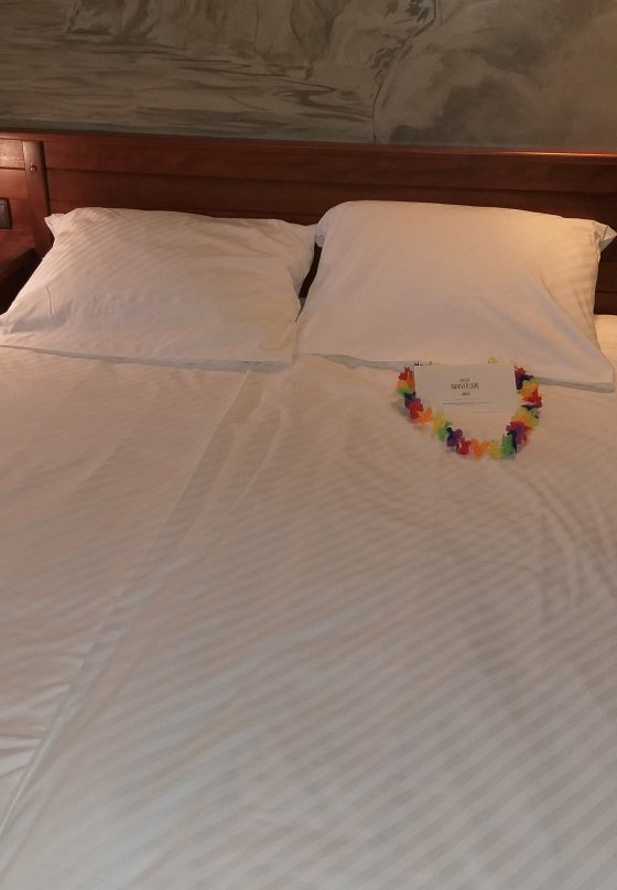 Hotel des Pirates主图