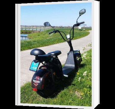 Dagje Texel-Oudeschild必去景点