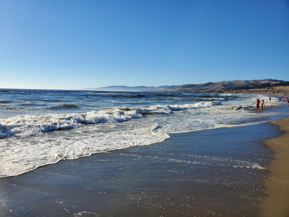 Sonoma Coast State Beach - Salmon Creek景点图片