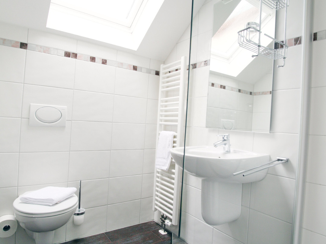 Sinzinger's Krone主图