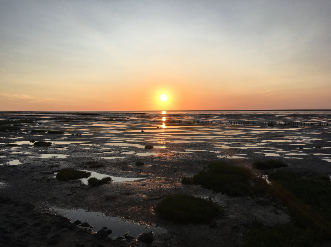 Nordsee-Ferienhof Wittmaack