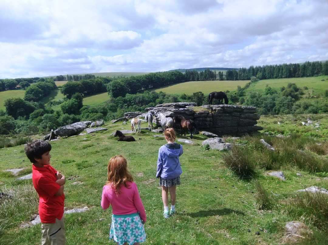 Dartmoor Walks This Way-Ashburton必去景点