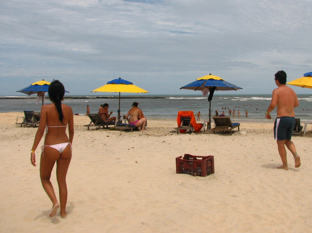 Gray Line Brazil景点图片