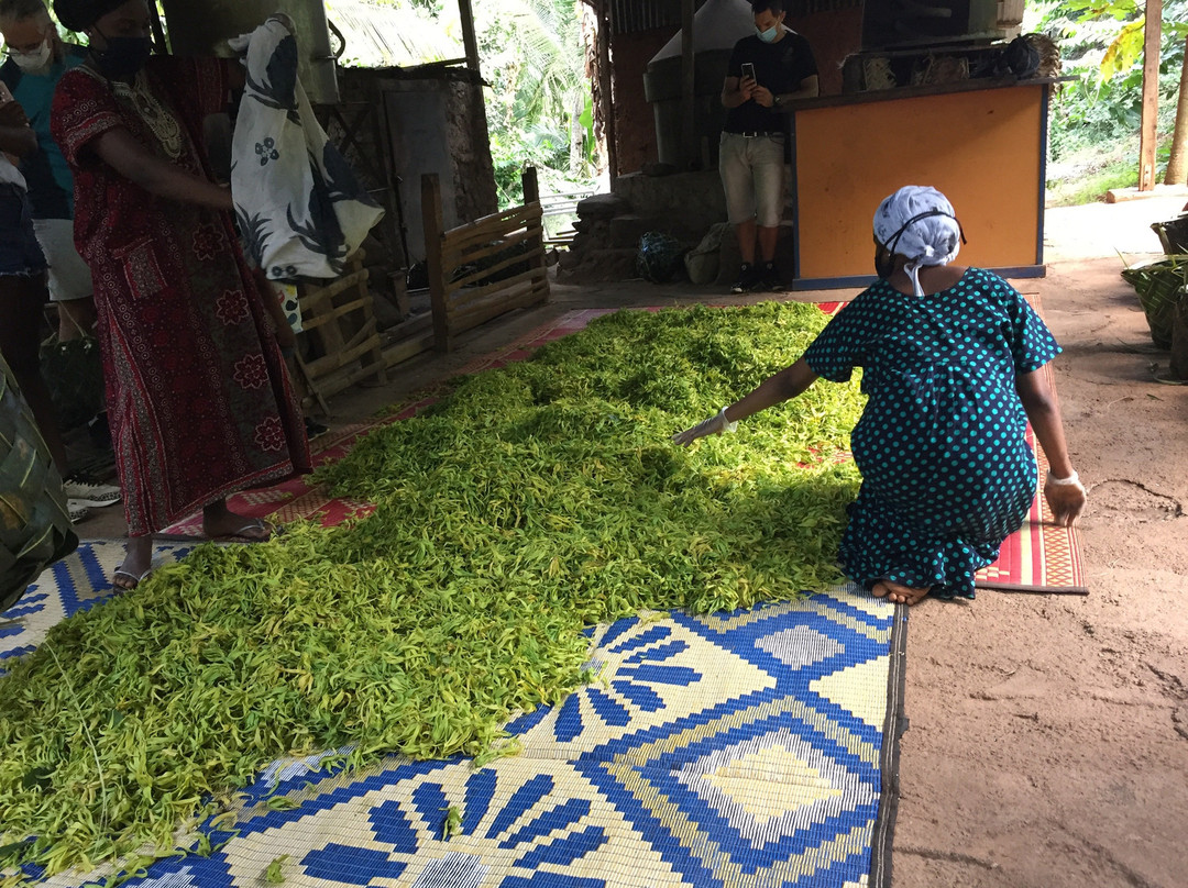 Ouangani旅游攻略图片