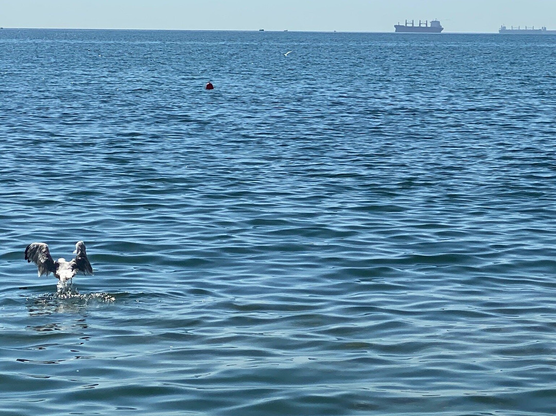 Grand-Marine Hotel & Spa主图