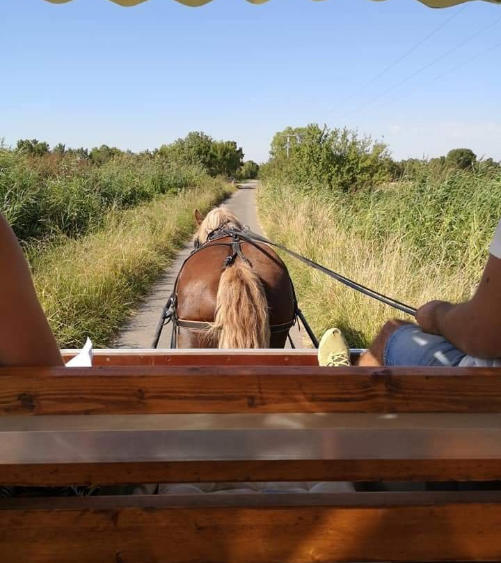 Les Calèches Lavausiennes-Lavau-sur-Loire必去景点