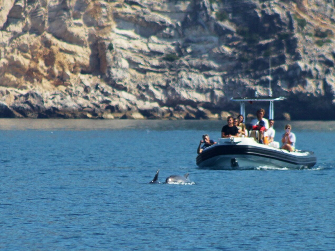 Bolhas Tours-塞新布拉必去景点
