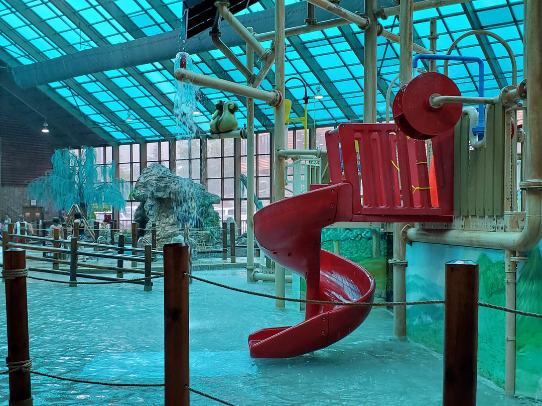 Wild Bear Falls Water Park景点图片