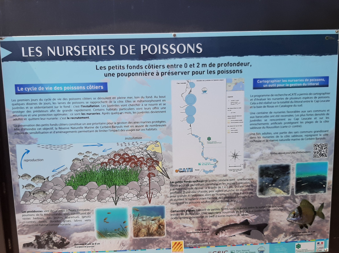 Le Sentier Sous-Marin de Cerbère-Banyuls-Cerbere必去景点