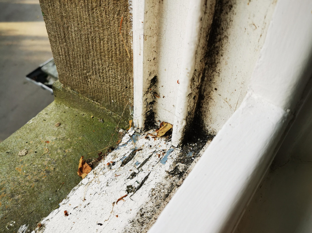 戴尔斯布里奇别墅酒店主图