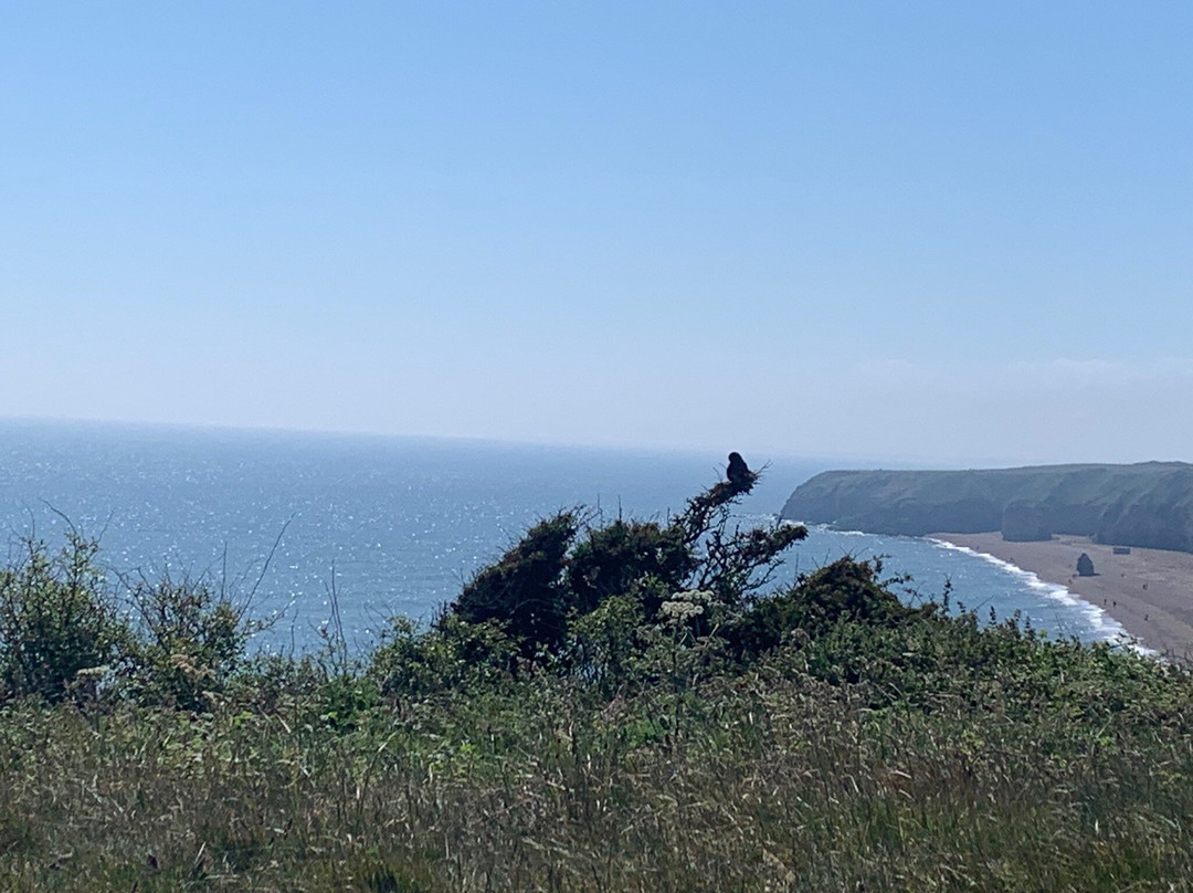 East Durham Coast-达勒姆必去景点