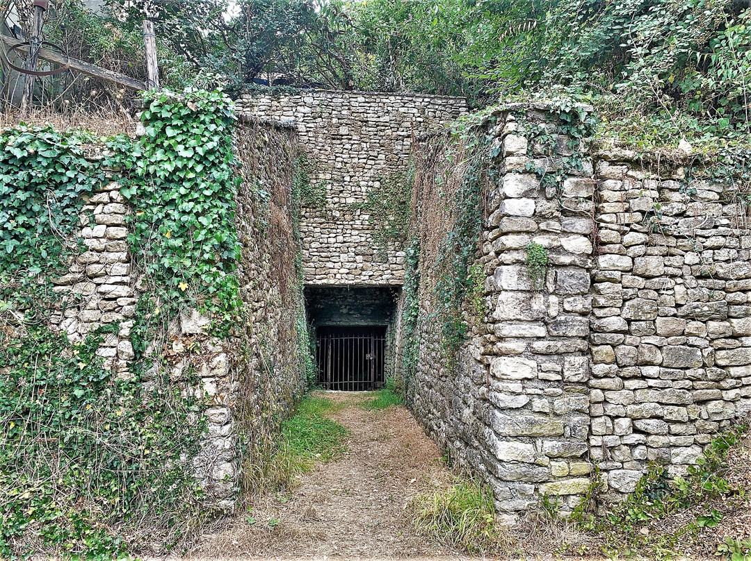 Champdeniers-Saint-Denis旅游攻略图片