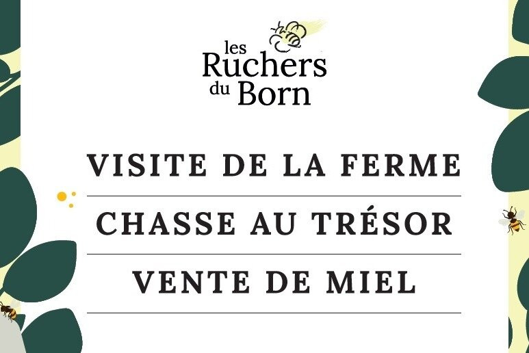 Les Ruchers du Born景点图片