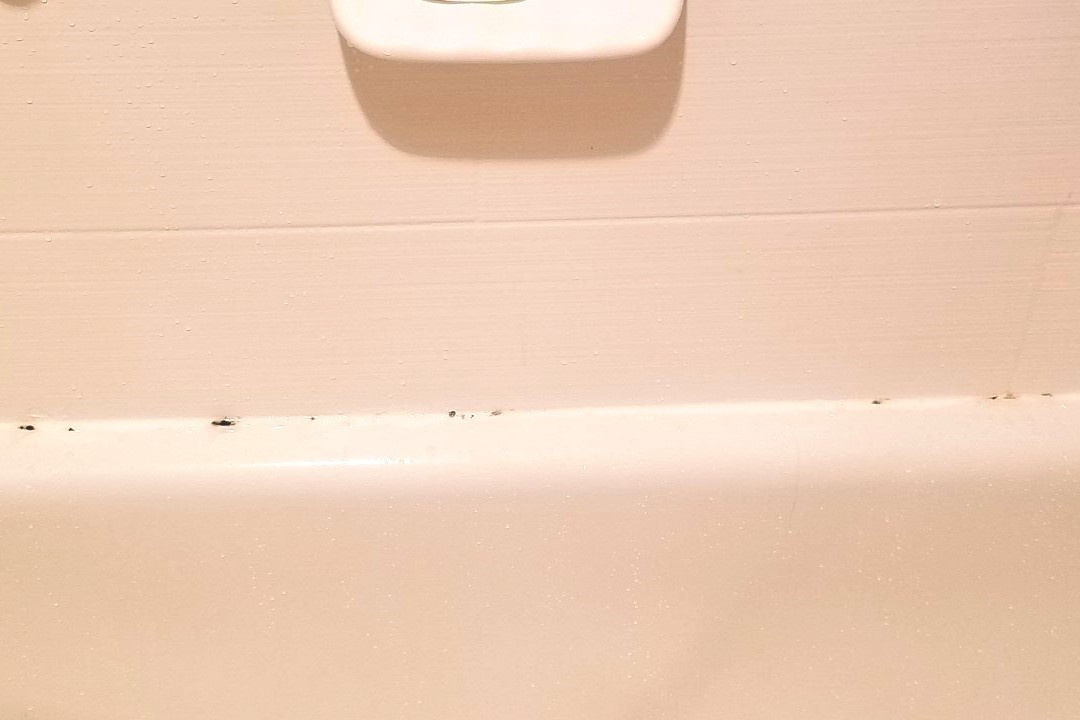 Homewood Suites by Hilton Toledo-Maumee主图