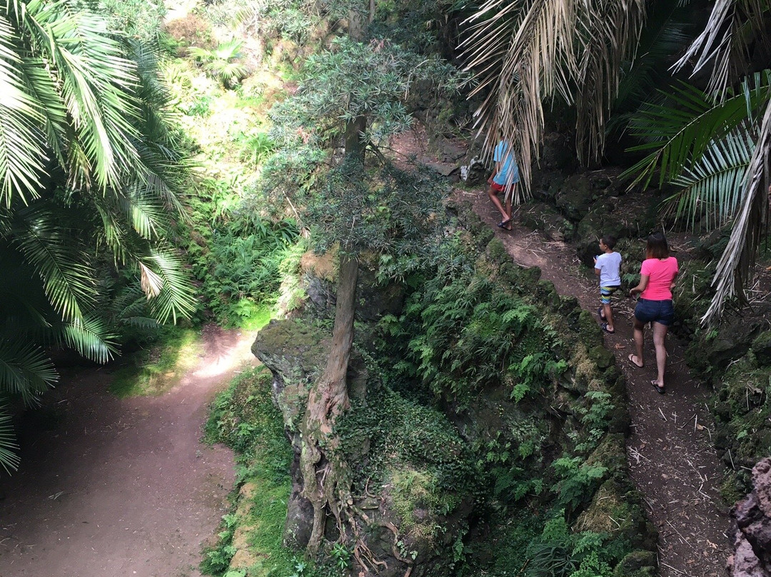 Jardim Botânico António Borges景点图片