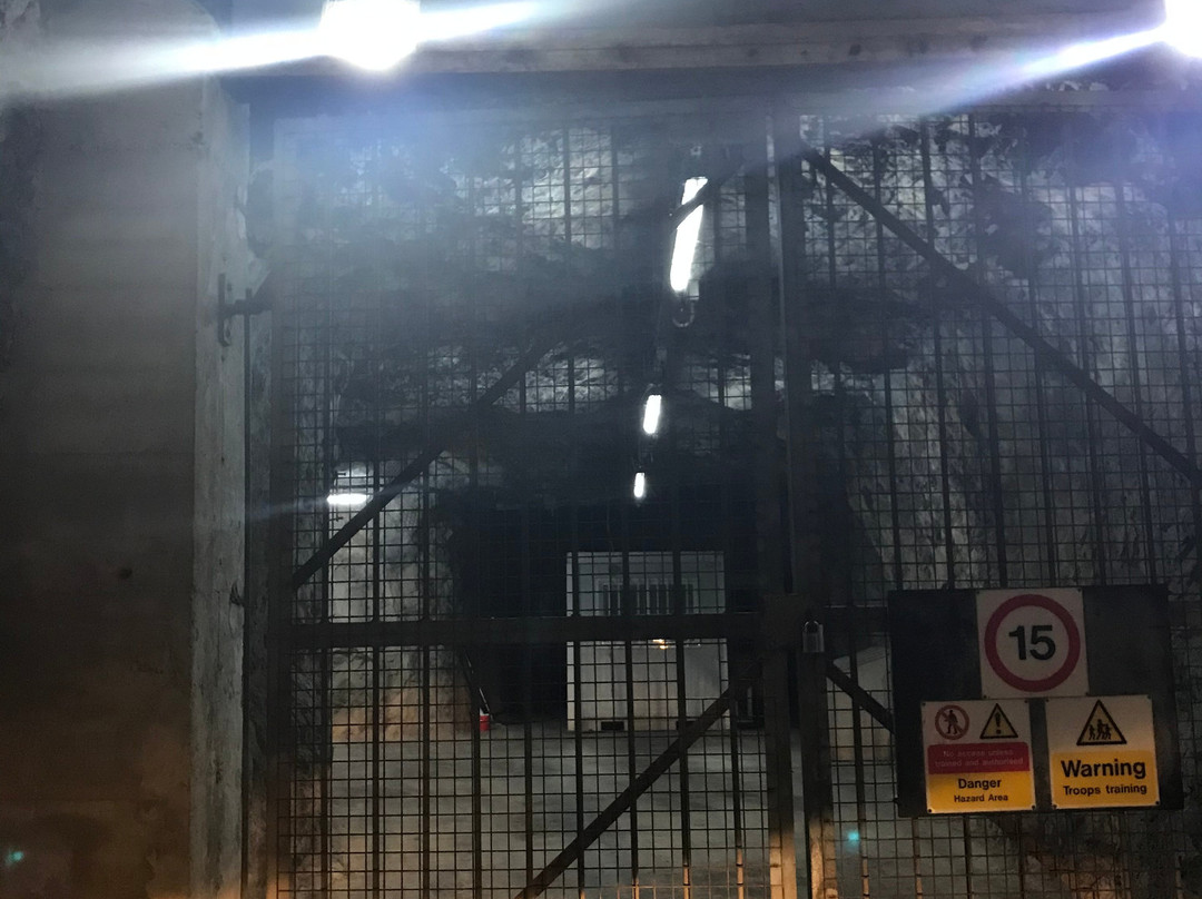 Barbary Rock Adventures-直布罗陀必去景点