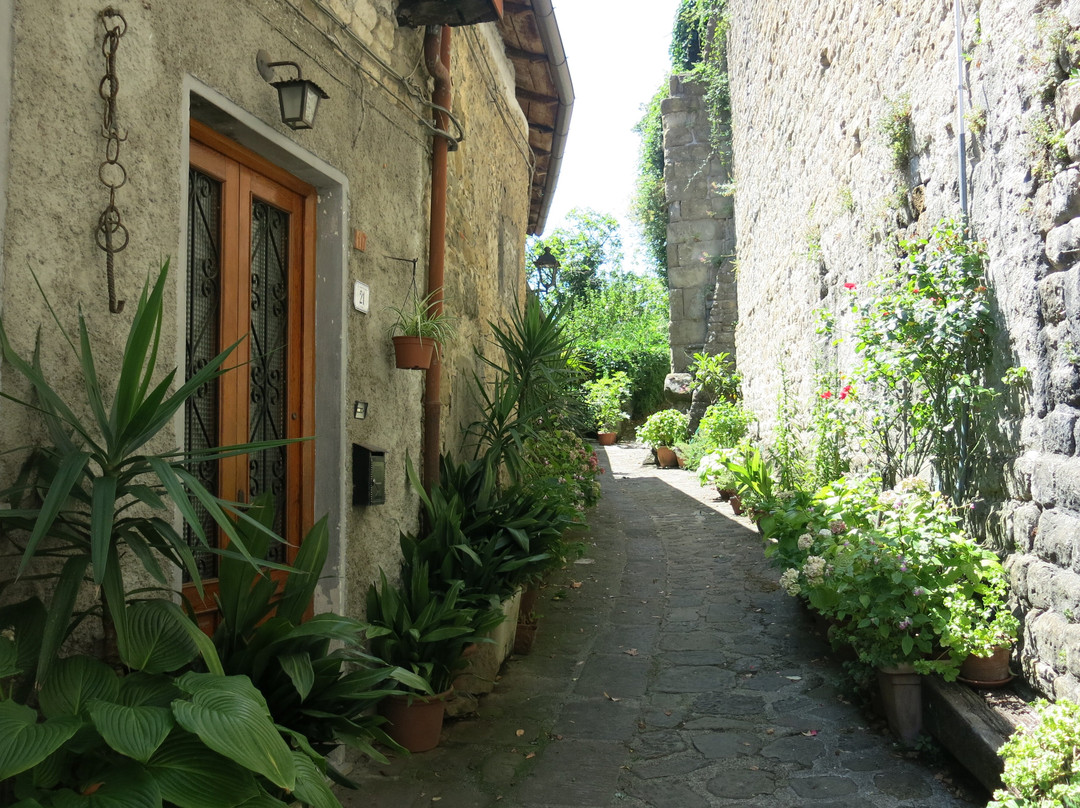 Borgo Medievale di Verrucola景点图片