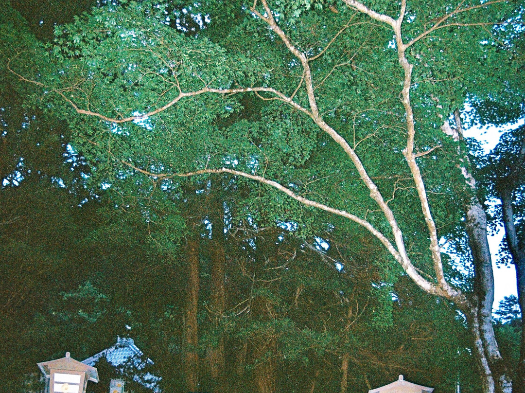 Gyokkei-ji Temple-甲贺市必去景点