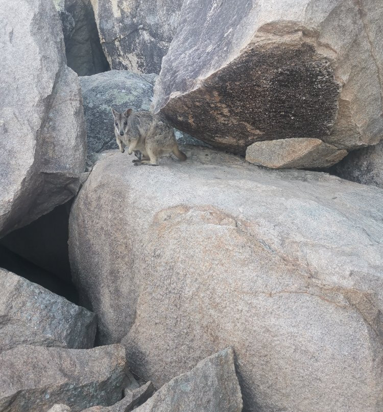 阿卡帝海滩客房酒店主图