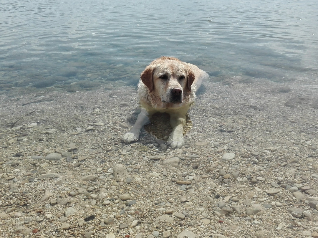 Playa Can Campello-坎佩略必去景点