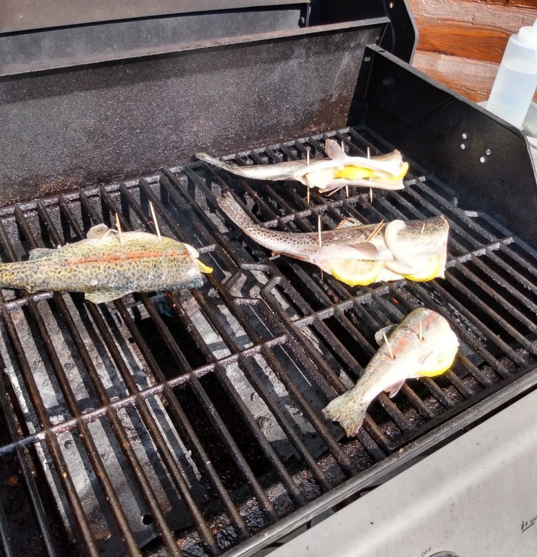 Star Prairie旅游攻略图片