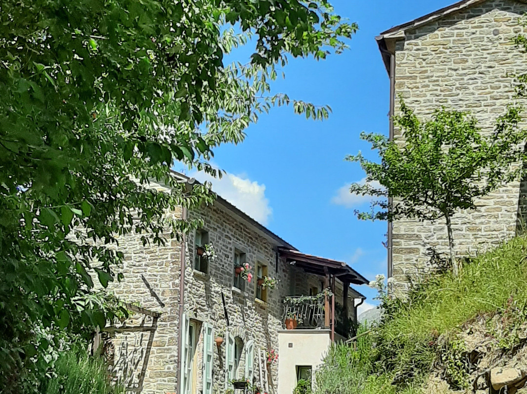 Ca' Paravento B&B e Country House主图