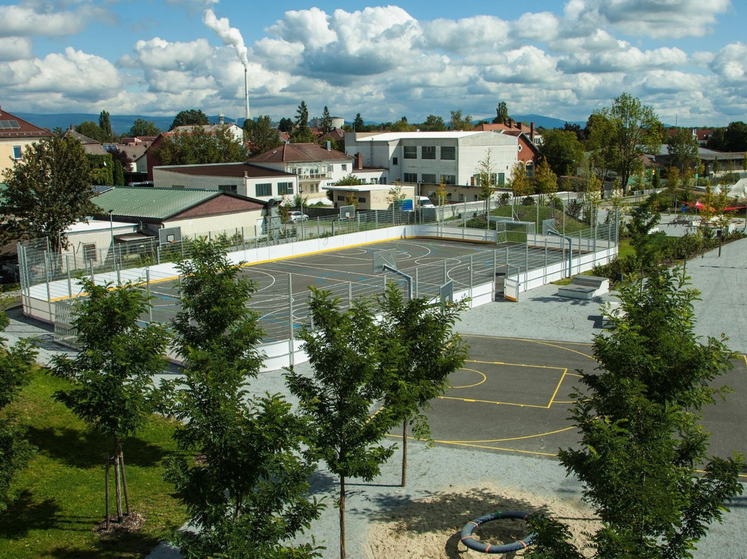 Skaterpark und Bewegungsparcours im Nordpark景点图片