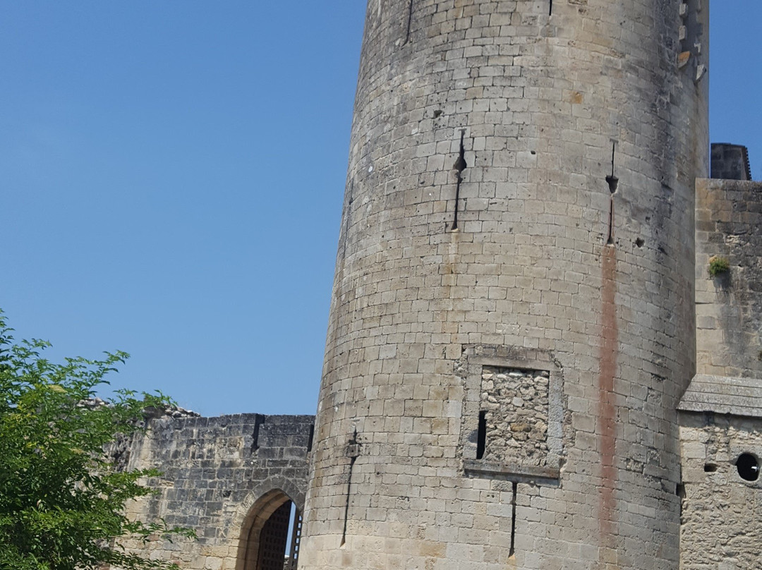 Chateau de Rauzan景点图片